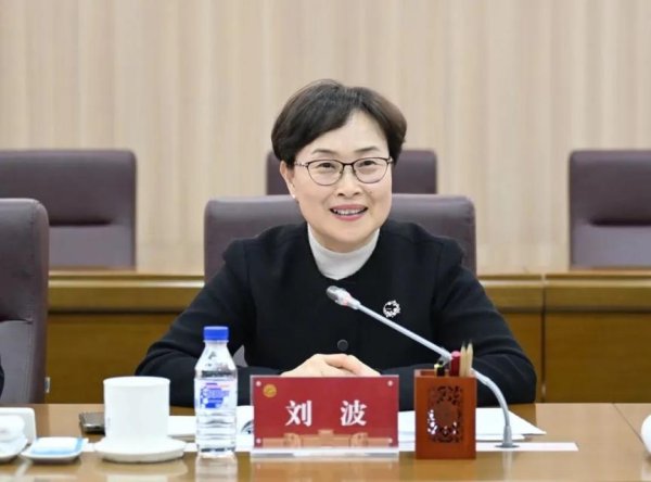 博寶配資 中央批準：劉波任副部級新職務